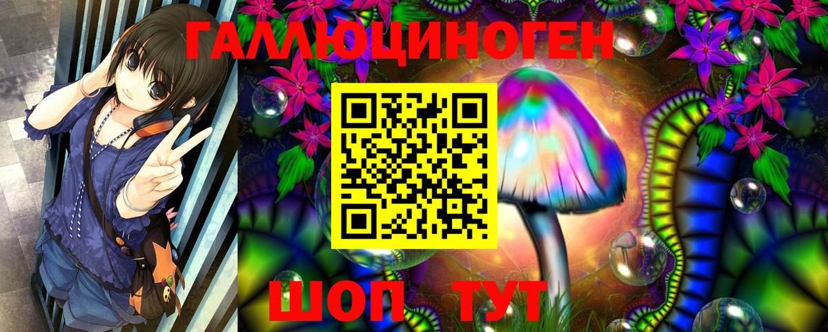 Галлюциногенные грибы Magic Shrooms  Галлюциногенные грибы ЛСД  Вход с VPN  Северск 